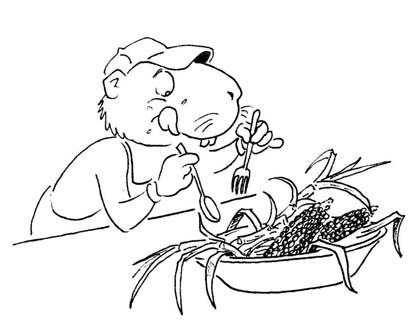 Alimentation