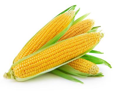 Les variétés hybrides