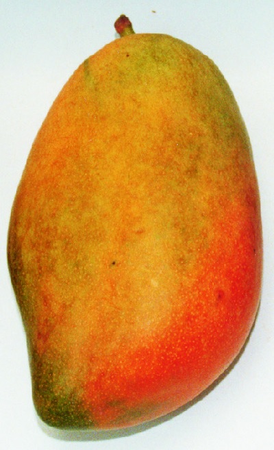 Mangot Séwal (au sénégal)