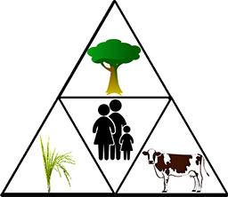 Icone Agroforesterie